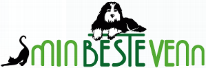 chainels-111775048019268571-logo-20