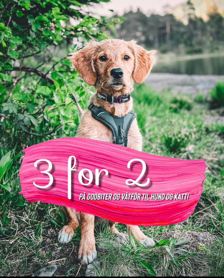 3for2 Min Beste Venn